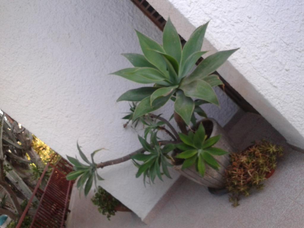 B&B Il Girasole Noto Exterior photo