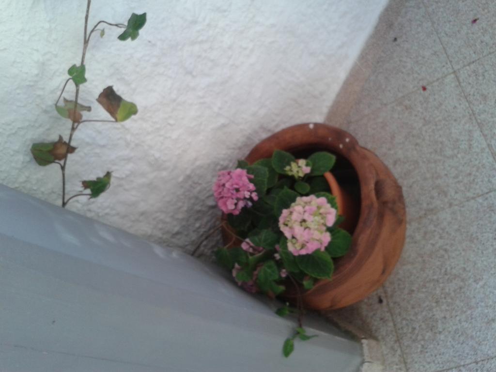 B&B Il Girasole Noto Exterior photo