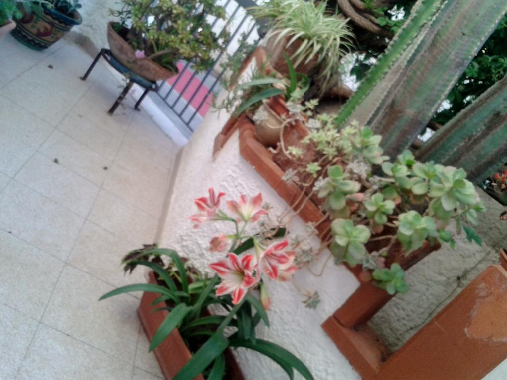 B&B Il Girasole Noto Exterior photo